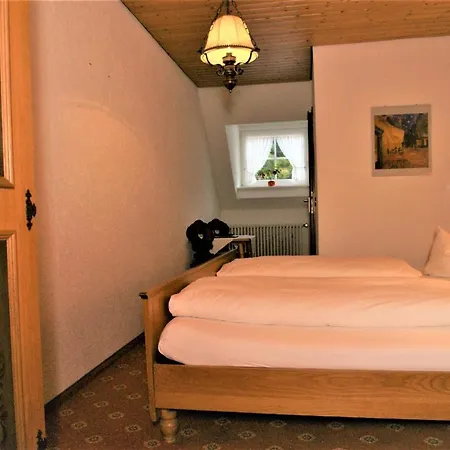 酒店 Zur Traube Schwarzwaldhotel & Restaurant Am Titisee 3*