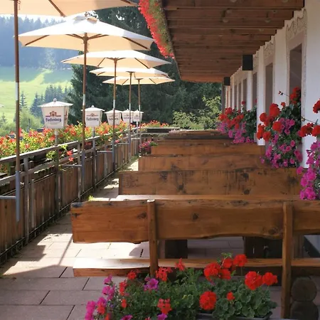 Zur Traube Schwarzwaldhotel & Restaurant Am Titisee 3*