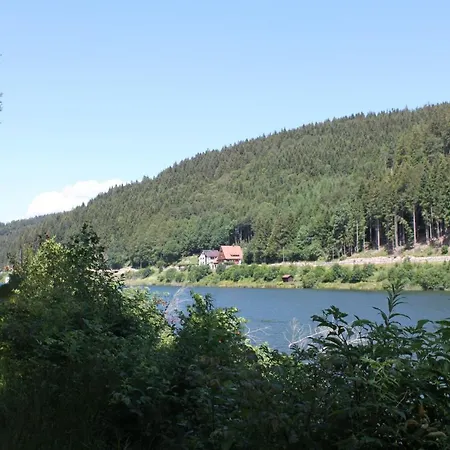 酒店 Zur Traube Schwarzwaldhotel & Restaurant Am Titisee