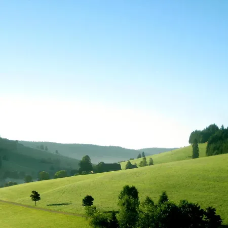 Zur Traube Schwarzwaldhotel & Restaurant Am Titisee 酒店 圣玛尔根