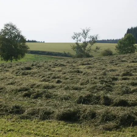 Zur Traube Schwarzwaldhotel & Restaurant Am Titisee Hotel Sankt Märgen