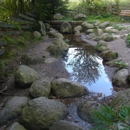 Zur Traube Schwarzwaldhotel & Restaurant Am Titisee