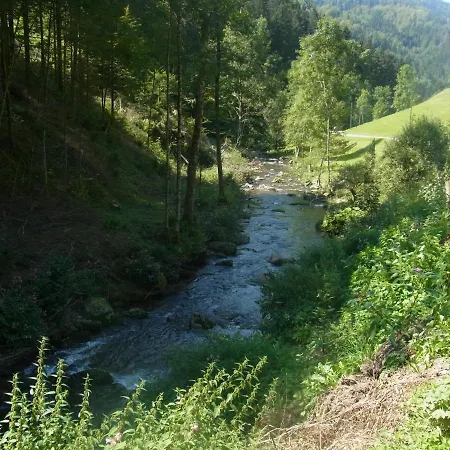 Zur Traube Schwarzwaldhotel & Restaurant Am Titisee Hotel Sankt Märgen