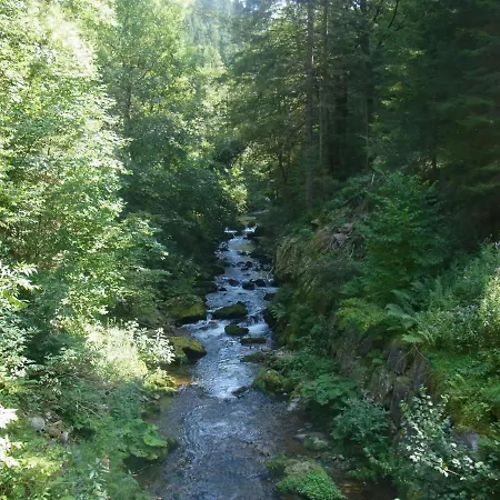 Zur Traube Schwarzwaldhotel & Restaurant Am Titisee Hotel 3*