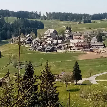 Zur Traube Schwarzwaldhotel & Restaurant Am Titisee 圣玛尔根