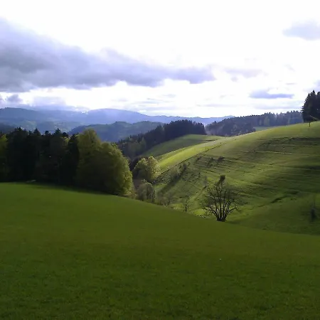 Zur Traube Schwarzwaldhotel & Restaurant Am Titisee 3* 圣玛尔根