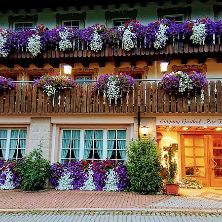 酒店 Zur Traube Schwarzwaldhotel & Restaurant Am Titisee 圣玛尔根