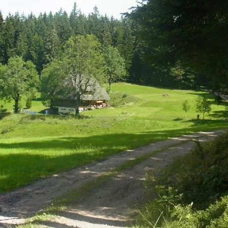ホテル Zur Traube Schwarzwaldhotel & Restaurant Am Titisee Sankt Märgen