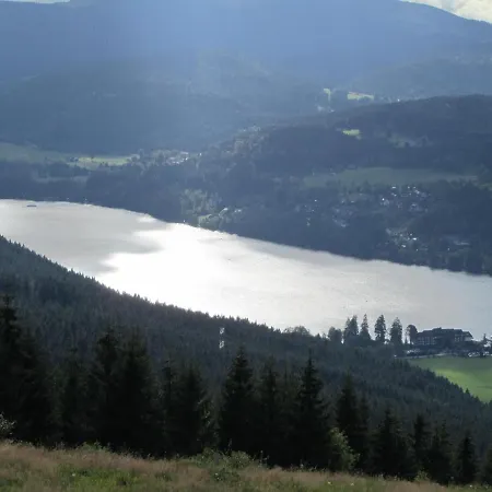 Zur Traube Schwarzwaldhotel & Restaurant Am Titisee 酒店 圣玛尔根