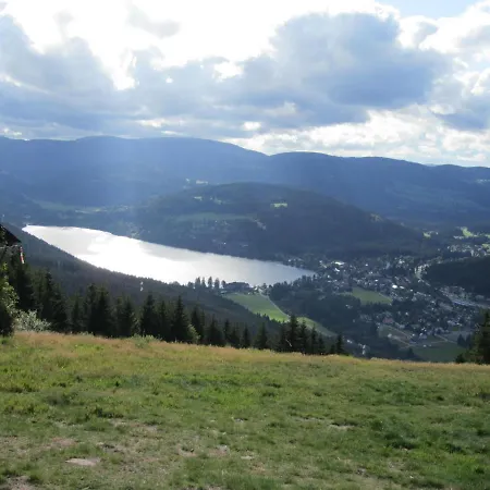 Zur Traube Schwarzwaldhotel & Restaurant Am Titisee 酒店