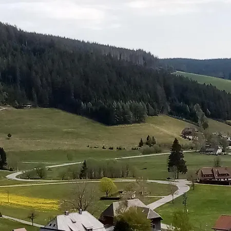 Zur Traube Schwarzwaldhotel & Restaurant Am Titisee Sankt Märgen