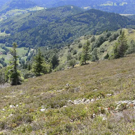 酒店 Zur Traube Schwarzwaldhotel & Restaurant Am Titisee 圣玛尔根