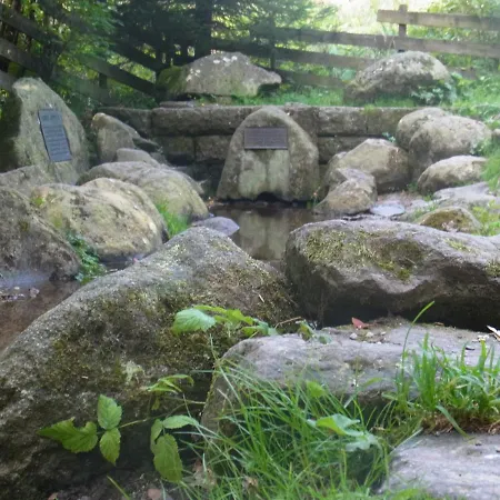 Zur Traube Schwarzwaldhotel & Restaurant Am Titisee Hotel Sankt Märgen