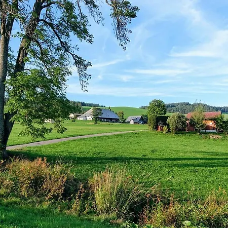 酒店 Zur Traube Schwarzwaldhotel & Restaurant Am Titisee 3*
