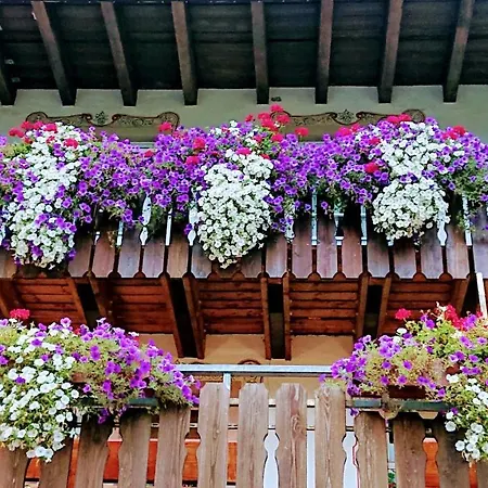 Zur Traube Schwarzwaldhotel & Restaurant Am Titisee