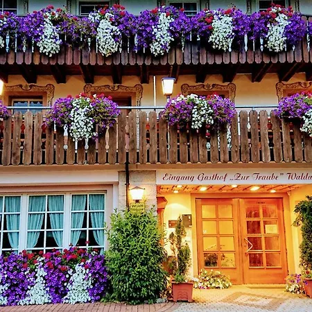酒店 Zur Traube Schwarzwaldhotel & Restaurant Am Titisee 3*