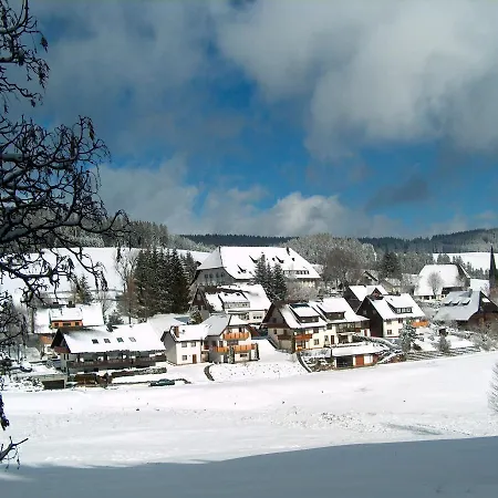 Zur Traube Schwarzwaldhotel & Restaurant Am Titisee Hotel Sankt Margen