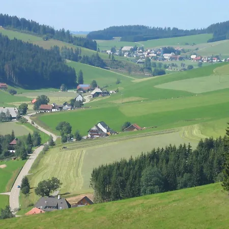 Zur Traube Schwarzwaldhotel & Restaurant Am Titisee 3* 圣玛尔根