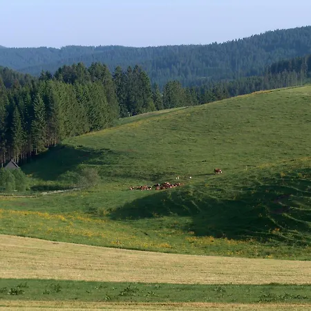 Zur Traube Schwarzwaldhotel & Restaurant Am Titisee Hotel