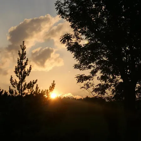 Zur Traube Schwarzwaldhotel & Restaurant Am Titisee Hotel 3*