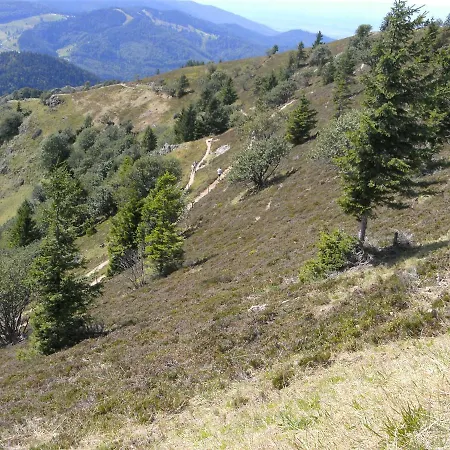 Zur Traube Schwarzwaldhotel & Restaurant Am Titisee Hotel Sankt Märgen