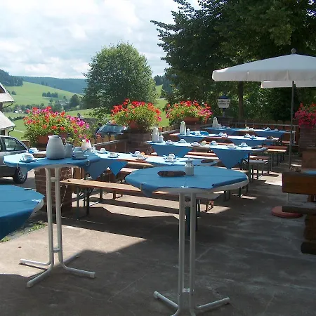Zur Traube Schwarzwaldhotel & Restaurant Am Titisee 酒店