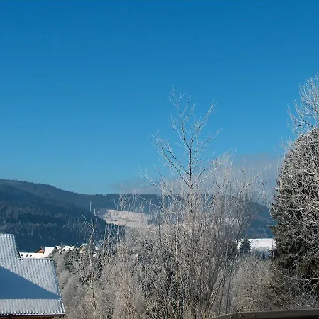 Zur Traube Schwarzwaldhotel & Restaurant Am Titisee Hotel Sankt Margen
