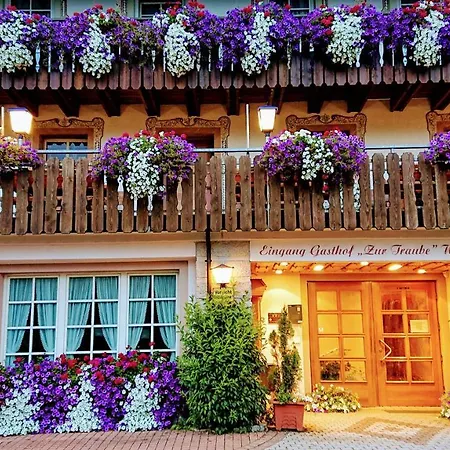 Zur Traube Schwarzwaldhotel & Restaurant Am Titisee 3*