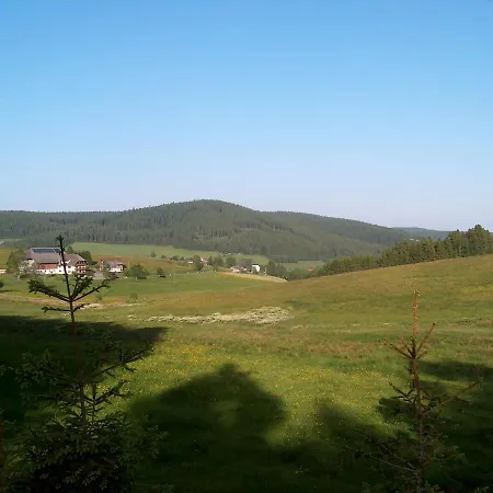Zur Traube Schwarzwaldhotel & Restaurant Am Titisee 酒店