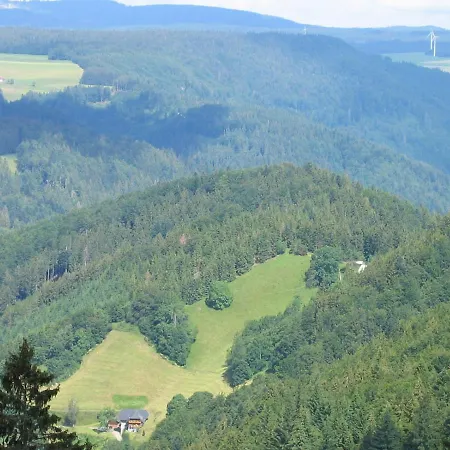 Zur Traube Schwarzwaldhotel & Restaurant Am Titisee 3*