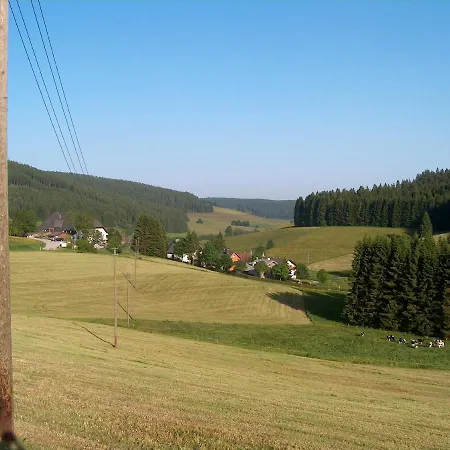 Zur Traube Schwarzwaldhotel & Restaurant Am Titisee 酒店 3*