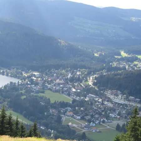 Zur Traube Schwarzwaldhotel & Restaurant Am Titisee 3* 圣玛尔根