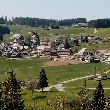Zur Traube Schwarzwaldhotel & Restaurant Am Titisee 酒店