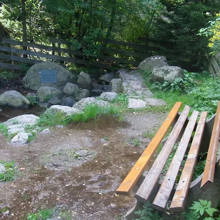 Hotel Zur Traube Schwarzwaldhotel & Restaurant Am Titisee 3*