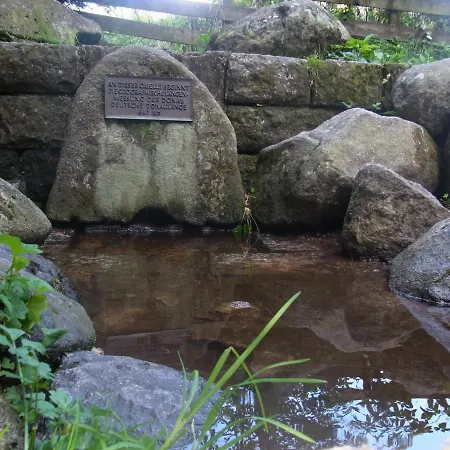 Zur Traube Schwarzwaldhotel & Restaurant Am Titisee Hotel 3*