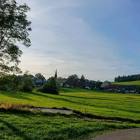 Zur Traube Schwarzwaldhotel & Restaurant Am Titisee 3* 圣玛尔根