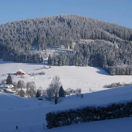 Zur Traube Schwarzwaldhotel & Restaurant Am Titisee