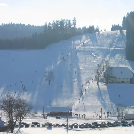 Zur Traube Schwarzwaldhotel & Restaurant Am Titisee