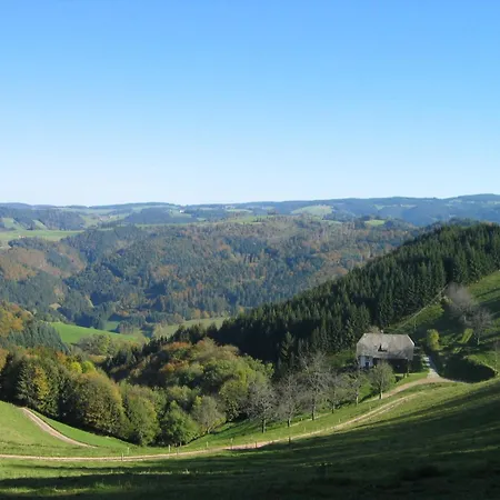 Zur Traube Schwarzwaldhotel & Restaurant Am Titisee