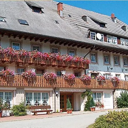Zur Traube Schwarzwaldhotel & Restaurant Am Titisee 圣玛尔根