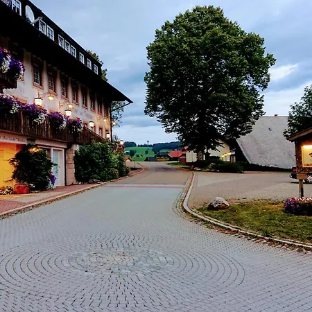 酒店 Zur Traube Schwarzwaldhotel & Restaurant Am Titisee 3*