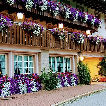 Zur Traube Schwarzwaldhotel & Restaurant Am Titisee 3*