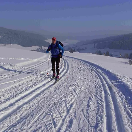 Zur Traube Schwarzwaldhotel & Restaurant Am Titisee 圣玛尔根