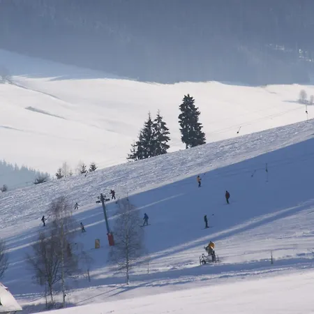 Zur Traube Schwarzwaldhotel & Restaurant Am Titisee 圣玛尔根