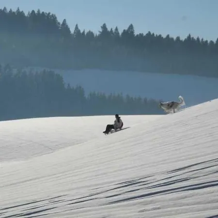 Zur Traube Schwarzwaldhotel & Restaurant Am Titisee 3* Sankt Märgen