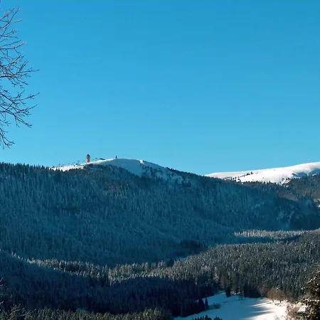 Zur Traube Schwarzwaldhotel & Restaurant Am Titisee Hotel 3*